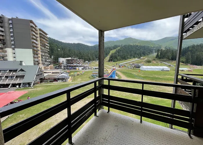 2 Pieces Griou 52 Le Lioran